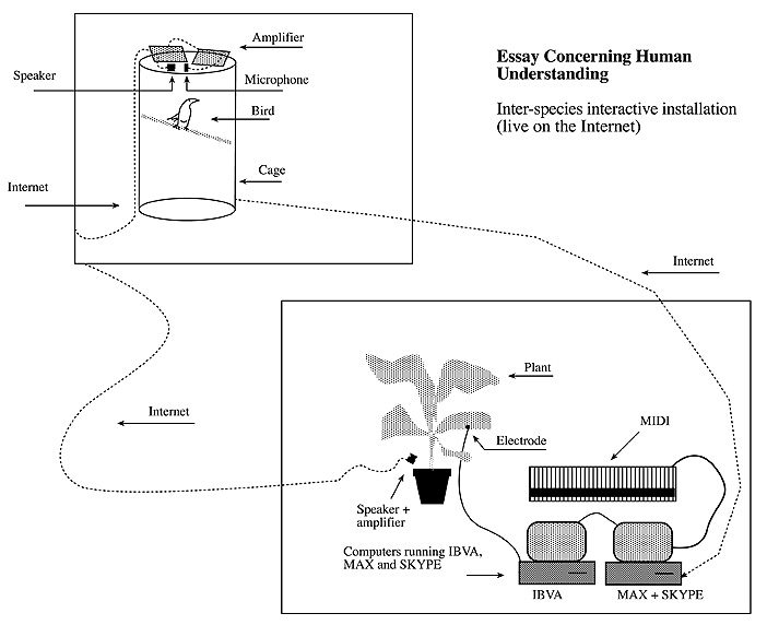 New essay concerning human understanding