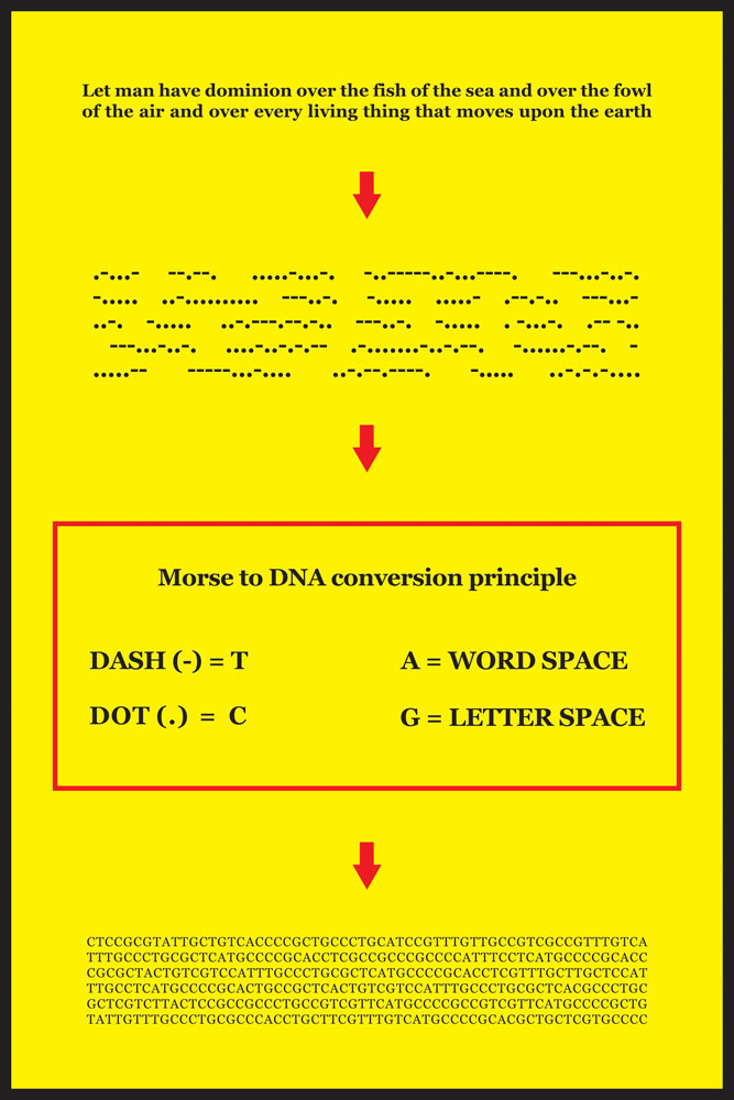 Diagram of Morse Code to DNA