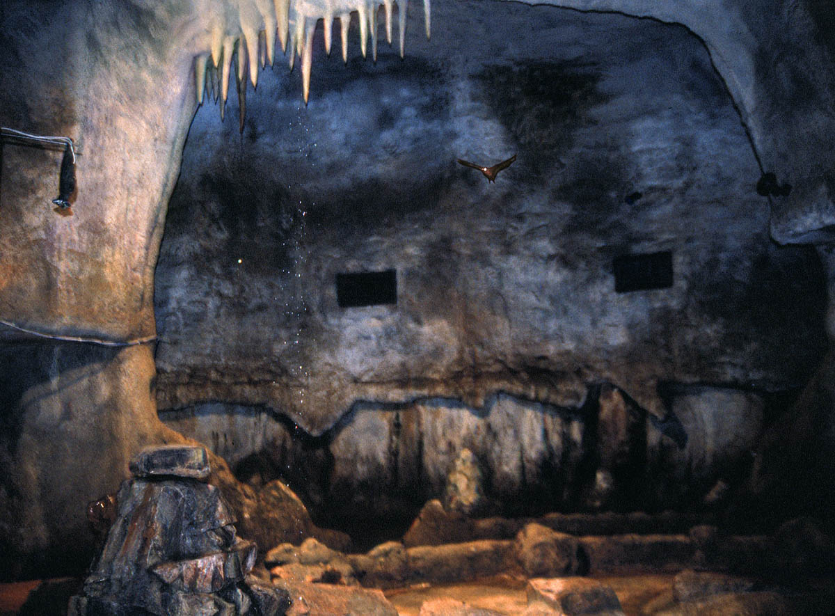 batcave