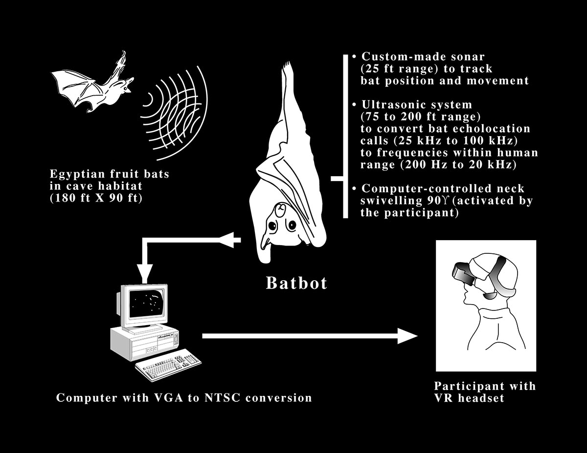install diagram