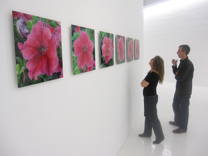 plantimal photos