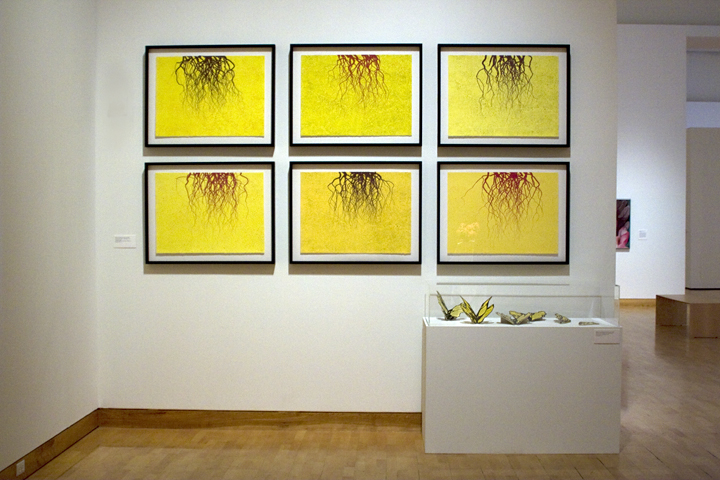 six prints and seed packs
